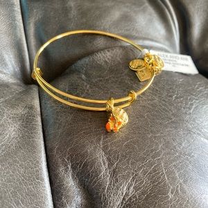Alex and ani hermit crab bracelet